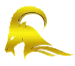 Logo The Dhamra Port Co. Ltd.