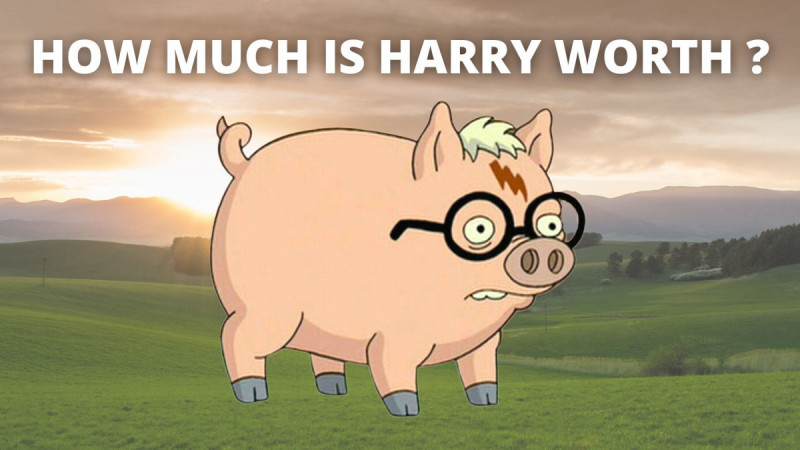How much is Harry the Magic Pig worth?