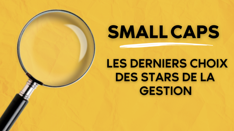 Small Caps – Les derniers choix des stars de la gestion