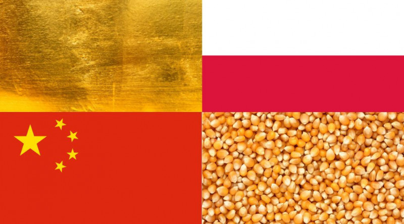 Symbole: Złoto, Kukurydza, Polska i Chiny – 05.12.2023