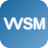 LOGO VanEck Semiconductor UCITS ETF - USD