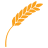 Logo Farmers National Banc Corp.