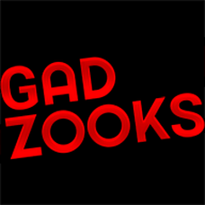 Logo Gadzooks, Inc.