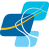 Logo BGF Industries, Inc.