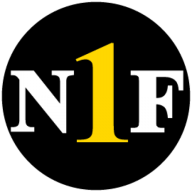 Logo Network 1 Financial Securities, Inc.