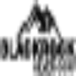 Logo Blackrock Silver Corp.