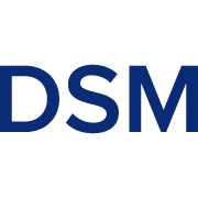 Logo DSM Capital Partners LLC
