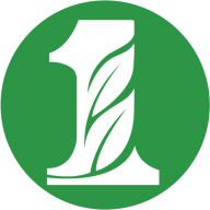 Logo Security Capital Corp. (Mississippi)