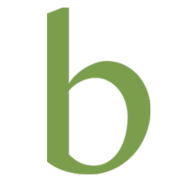 Logo Brookhollow Corp.