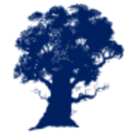 Logo Tiedemann Independent A/S
