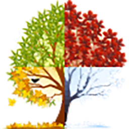 Logo CIM Securities LLC
