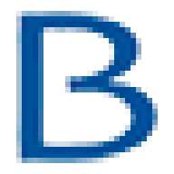 Logo Brain & Spine Foundation