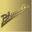 Logo Bhuwalka Steel Industries Ltd.
