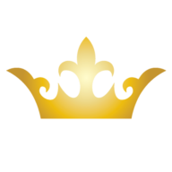 Logo Vidoop LLC
