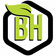 Logo Bakhu Holdings Corp.