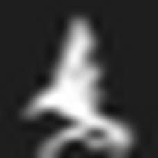 Logo CleanSpot, Inc.