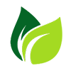 Logo BodeTree LLC