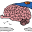 Logo TriplePulse, Inc.