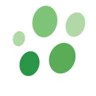 Logo Parasight System, Inc.