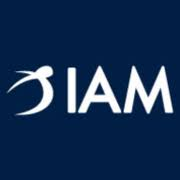 Logo IAM Independent Asset Management SA