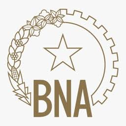 Logo The National Bank of Angola