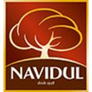 Logo Grupo Navidul SA