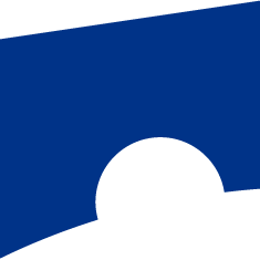 Logo CAICA DIGITAL, Inc.