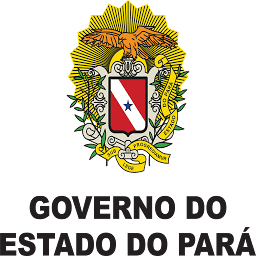 Logo Estado Governo do Para (Brazil)