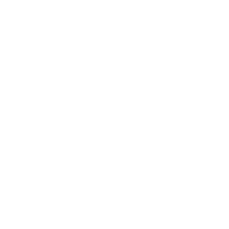 Logo Wiss & Co. LLP