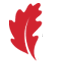 Logo Seed Capital de Bizkaia SGEIC SA