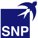 Logo SNP Schneider-Neureither & Partner SE