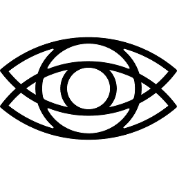 Logo Sockeye Networks, Inc.