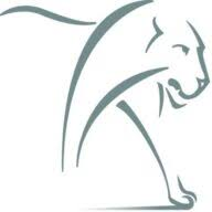 Logo Lion Capital LLP