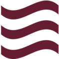 Logo River Associates Investments LLC