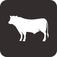 Logo Zambeef Products Plc
