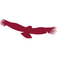 Logo Gray Hawk Systems, Inc.