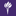 Logo New York University