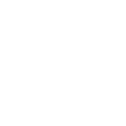 Logo WaltKoch Ltd.