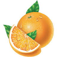 Logo Orange Glo International, Inc.