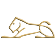 Logo Dom Maklerski IDM SA