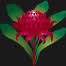 Logo Waratah Coal Pty Ltd.