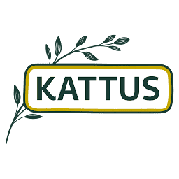 Logo Theodor Kattus GmbH