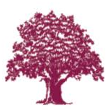 Logo Vivien Chan & Co.