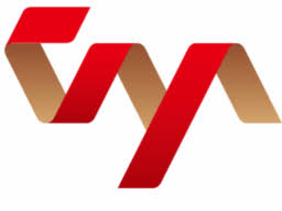 Logo Taya Vietnam Electric Wire & Cable JSC