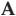 Logo American Money Management LLC
