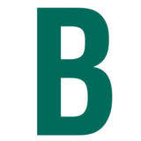 Logo Bondurant Management LLC