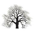 Logo Edgewood Holdings LLC