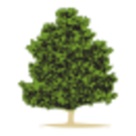Logo FSC II LLC
