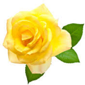 Logo Leevy Johnson Funeral Homes, Inc.