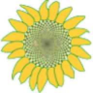 Logo Allseeds Group Ltd.